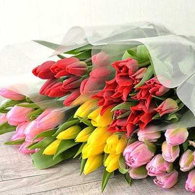 【ふるさと納税】フラワーファームしろねのチューリップ切花50本おすすめアソート（5品種×各10本） 植物 花束 　お届け：2025年12月中旬～2026年3月下旬