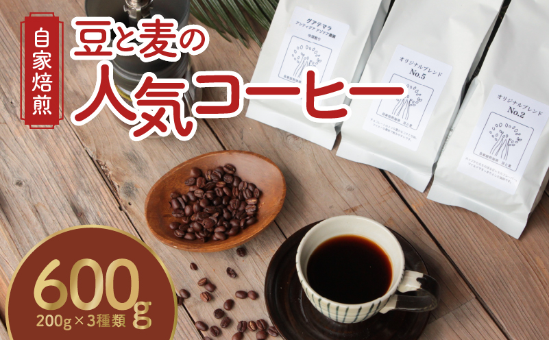 【ギフト用】【自家焙煎】豆と麦の人気コーヒー 200g×3種類セット（粉）　A017-012-04