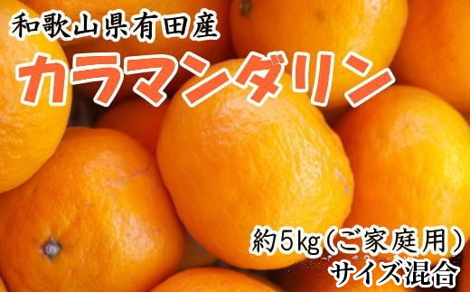 
            ZD6705n_【2026年先行予約】【春みかん】和歌山県 有田産 カラマンダリン 約5kg（サイズ混合　ご家庭用）
          