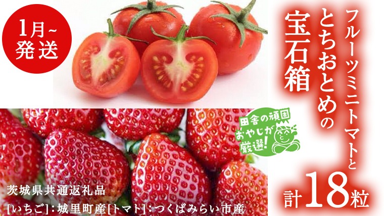 とちおとめ と フルーツミニトマトの宝石箱 18粒【1月から発送開始】（茨城県共通返礼品 [いちご]：城里町産　[トマト]：つくばみらい市産） 詰め合わせ 果物 フルーツ 茨城県産 [BI468-NT]