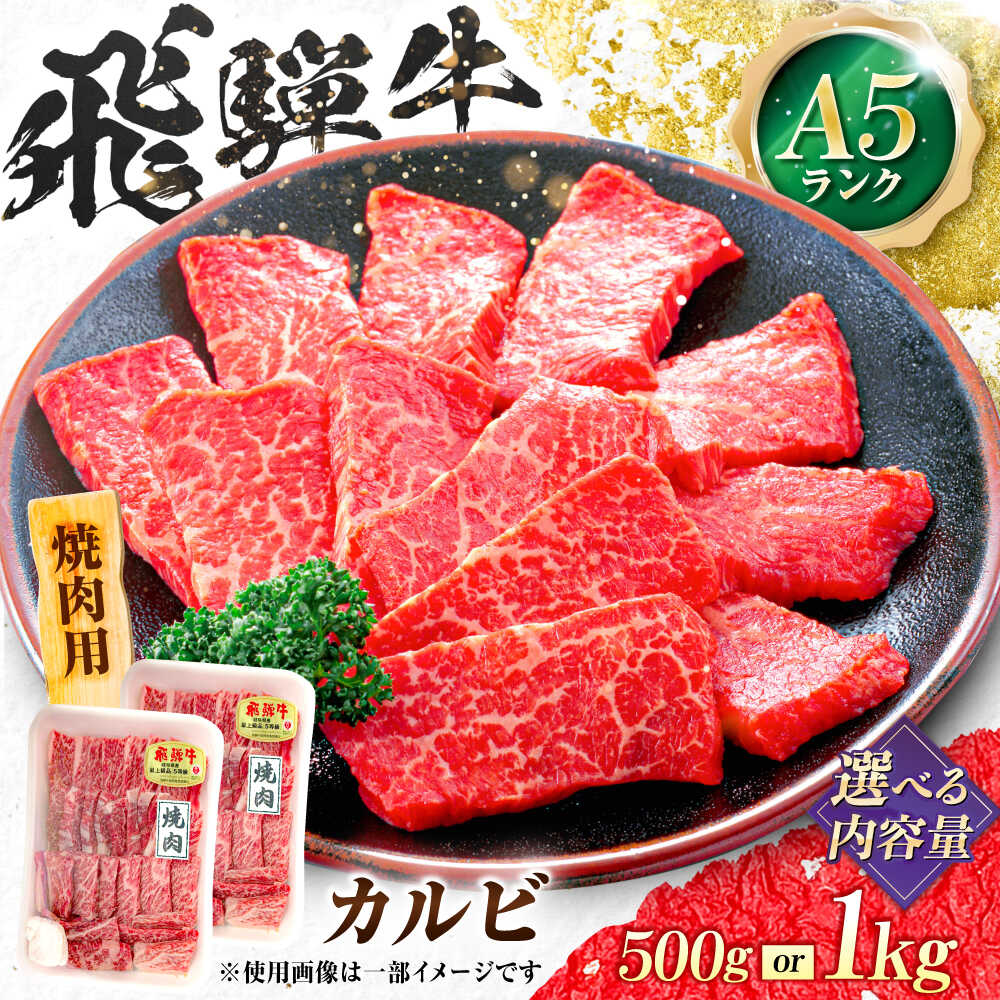 【ふるさと納税】【選べる容量】飛騨牛 A5等級 焼肉用 カルビ カルビ カルビ焼肉 カルビ肉 焼肉 焼き肉 やきにく 焼肉セット 焼肉用 最高級 a5 A5 牛 和牛 牛肉 お肉 高級 贈答ギフト 岐阜市 / 肉の松久[ANIP007]