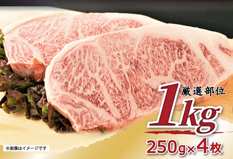 艶さし！佐賀牛サーロインステーキ 250g×4枚(合計1kg) 肉 牛肉 ステーキ 焼肉 BBQ バーベキュー ギフト アウトドア 「2023年 令和5年」