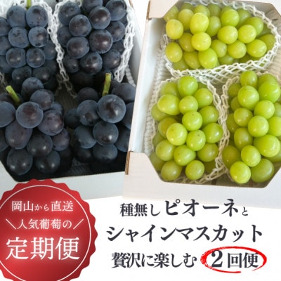 【発送月固定定期便】【2026年先行予約】ピオーネとシャインマスカットの2回便!(岡山県産)全2回【配送不可地域：離島】【4067502】