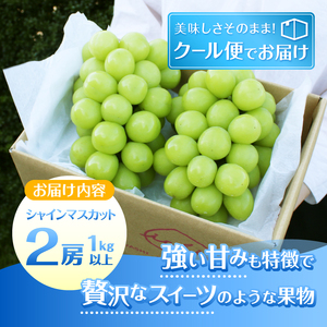 葡萄の里 シャインマスカット 2房（1kg以上）（HK）B12-440 【山梨県 シャインマスカット フルーツ シャインマスカット 大粒 シャインマスカット 旬 フルーツ シャインマスカット ぶどう 