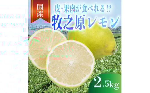 【事前受付】レモン 2.5kg れもん 檸檬 Lemon 柑橘類 柑橘 フルーツ 果物 酸っぱい 果肉 酸味 甘み 璃の香 防腐剤不使用 牧之原レモン 静岡県 牧之原市 果肉食べられる 自宅用 贈答品 レモンスカッシュ レモンパウンドケーキ レモンサワー