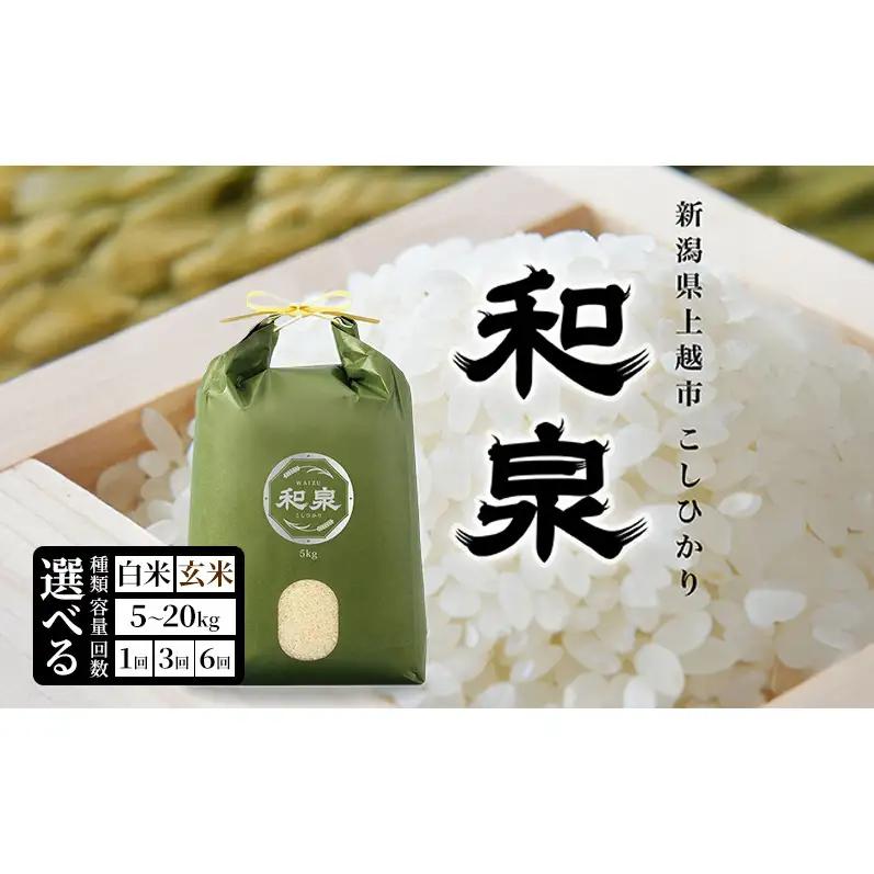 先行予約 新米 令和8年 新潟県 上越産 こしひかり 5kg 5キロ 和泉 ワイズファーム 上越市 精米 米 ギフト 喜ばれる コシヒカリ
