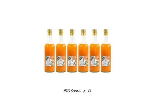 
小田原産江之浦みかん１００％ストレートジュース５００ml６本
