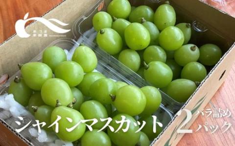 No.2329シャインマスカット粒詰2パック入　約1kg【2025年発送】