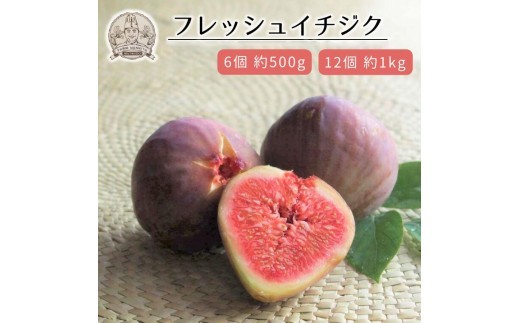 
                  【予約受付】フレッシュイチジク 6～12個入り（品種：ドーフィン）※2025年8月初旬より順次発送
                