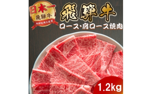 飛騨牛 ロース・肩ロース焼肉1.2kg(600g×2P) (焼肉・BBQ 用) 養老ミート【1746386】