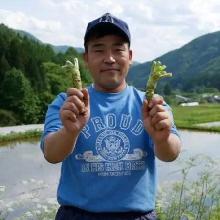 マルカツわさび 小サイズ 10本 真空 岩手県遠野市産【こんたでぃーの遠野】【配送不可地域：離島】【1485586】