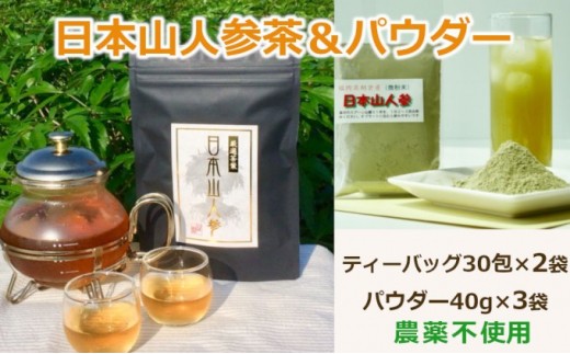 ★希少★日本山人参で健康に！お茶2か月分＋パウダー3袋