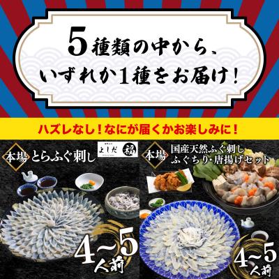 ふるさと納税 下関市 ふぐガチャ 冷凍 期間限定 数量限定 ふぐ 福袋 BV027 |  | 01