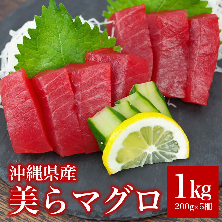 【ふるさと納税】まぐろ 1kg ( 200g ×5柵) 美らマグロ 旬 鮪 マグロ 鮮度抜群 メバチマグロ キハダマグロ 魚種 おまかせ 旬のマグロ 柵 赤身 高たんぱく 低カロリー 真空 冷凍 刺身 家庭用 小分け お刺身 海鮮 魚介 魚冷凍保存 沖縄 糸満市 送料無料