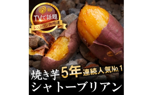 【驚異の100日熟成】ギリギリまで糖化させた幻のシャトーブリアン焼き芋2027年2月上旬より発送【1729246】