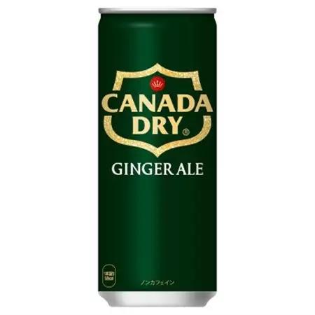 カナダドライジンジャーエール250ml缶×30本_飲料・ドリンク 炭酸飲料 ジュース _【1551264】