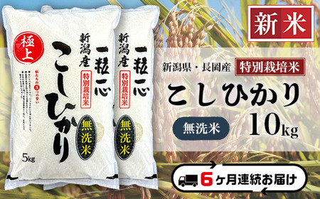 48-6M106【6ヶ月連続お届け】【無洗米】新潟県長岡産特別栽培米コシヒカリ10kg