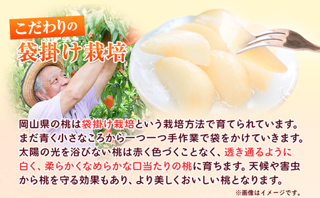 訳あり 清水白桃 約4kg 桃