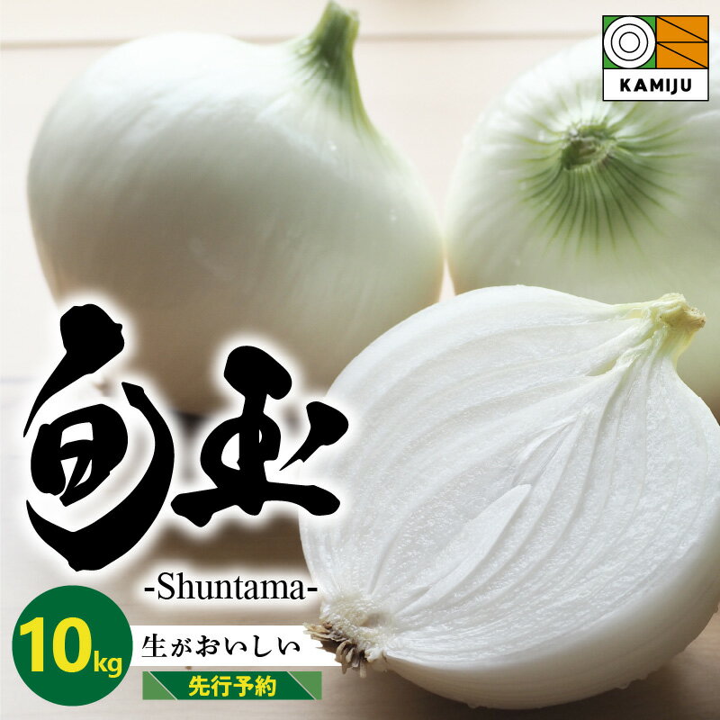 【ふるさと納税】 とにかく甘い 新玉ねぎ 旬玉 10kg 玉ねぎ 野菜 サラダ オニオン ブランド玉ねぎ 生がおいしい フレッシュ えぐみが少ない 肉厚 オニオンスライス 玉ねぎステーキ オニオンスープ 農場 神重農産 愛知県 碧南市 お取り寄せ 送料無料