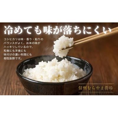 ふるさと納税 上田市 塩田平のコシヒカリ精米3kg [54041693] |  | 01