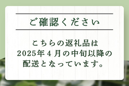 【2024年4月下旬発送開始】先行予約 グラバーメロン 3玉 上品な味 上品 高糖度 甘いメロン めろん メロン グラバー さわやか 甘い 香り さくさく サクサク フルーツ 果物 くだもの 果実 旬