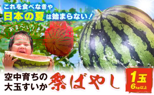 すいか【2026年先行予約】贅沢な甘さとシャリ感 空中育ちの大玉すいか 祭ばやし 6kg以上 1玉 そうがわ農園 《2026年6月下旬-8月上旬頃出荷》 和歌山県 日高川町 スイカ 西瓜 すいか 大玉
