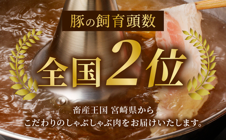 宮崎県産豚バラしゃぶしゃぶ用(計1kg) 肉 豚 豚肉 おかず 国産_T009-013【人気 豚肉 しゃぶしゃぶ 豚肉 おすすめ 豚肉 豚しゃぶ 豚肉 鍋 肉 晩ご飯 豚肉 BBQ 豚肉 バーベキュー