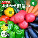 【ふるさと納税】【先行予約】【2025年8月より発送】産地直送 なまら十勝野の 季節のおまかせ 野菜 セット 夏詰合せ 旬 食品 グルメ 送料無料 冷蔵発送 北海道 十勝 芽室町