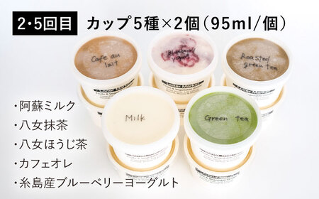 【 全6回 定期便 】 カップ 10個 × 4回 / お楽しみ ボトル 2個 × 2回 セット 糸島 / LoiterMarket[AGD011]