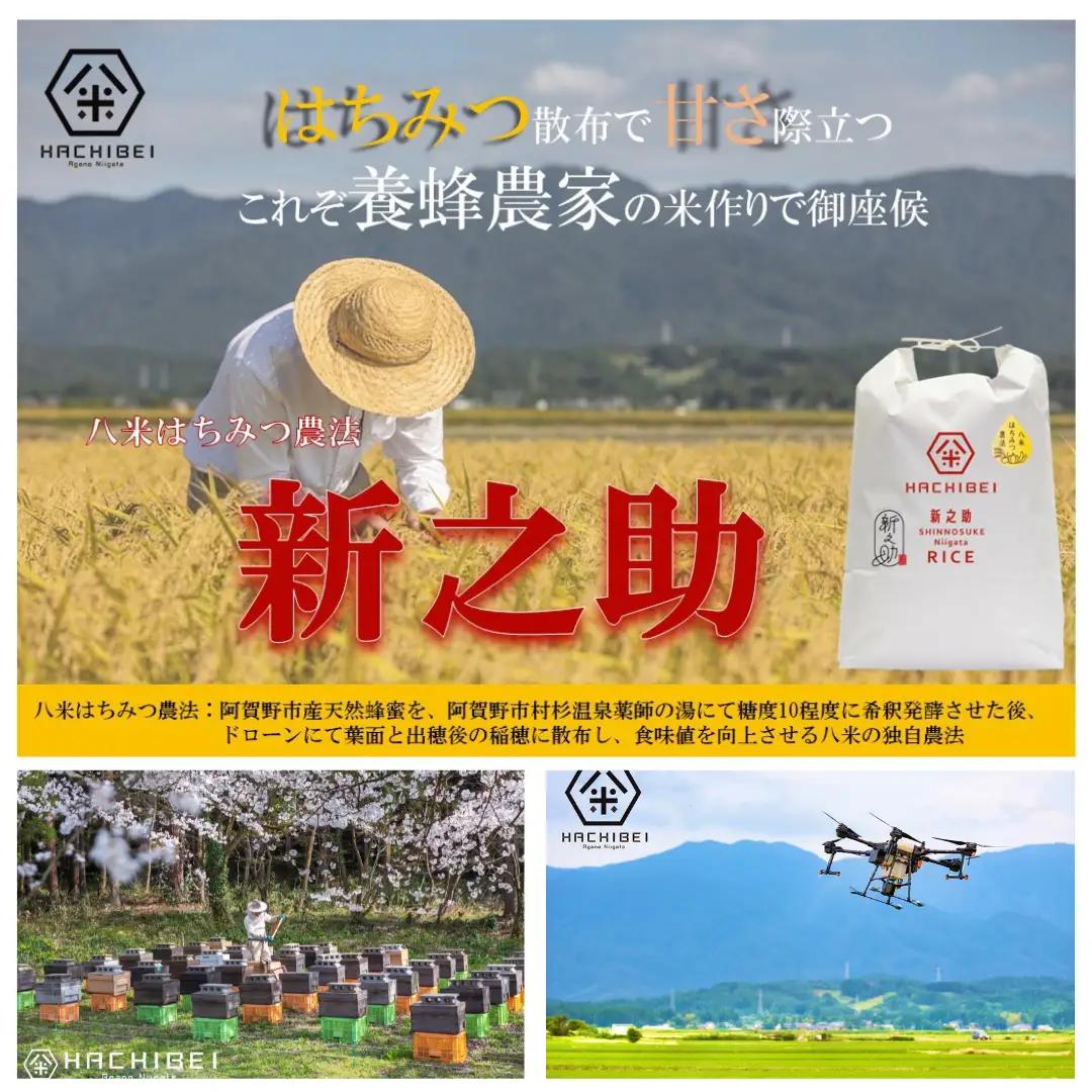 【令和8年産新米予約】【環境大臣賞受賞】【特別賞受賞】3ヶ月定期便 無洗米 新之助 5kg×3回 計15kg 農家直送 ほんのり甘い「はちみつ農法」 白米 精米 HACHIBEI 八米 新潟県 米 こ
