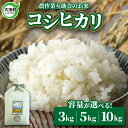 【ふるさと納税】 米 コシヒカリ 3kg / 5kg / 10kg 選べる容量 【農作業互助会】【令和6年産】先行予約 ｜ 福島 大玉村 お米 米作り こしひかり 令和6年産 精米 白米 送料無料 ｜