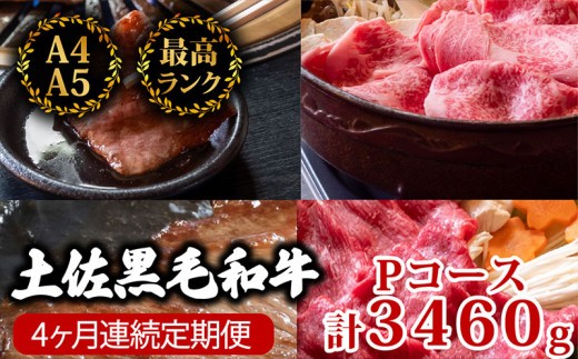 
                  【4回定期便】土佐黒毛和牛 食べ比べ 3460g (計3kg以上) | Pコース 厳選 国産 和牛 すき焼き しゃぶしゃぶ ステーキ 焼き肉 お肉 にく 霜降り 牛肉 ウデ肉 うで肉 モモ肉 もも肉 サーロイン リブロース 人気 贈答 ギフト プレゼント 小分け 数量限定 4ヵ月 頒布会 老舗 たけうちミート 高知県 須崎市 TM18000
                