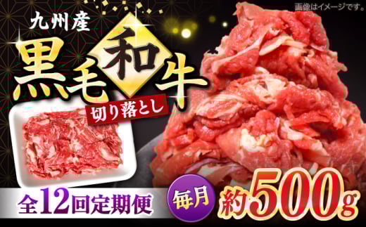 切り落とし 【12回定期便】長崎県産 黒毛和牛 切り落とし 約500g＜宮本畜産＞ [CFA052] 長崎 西海 和牛 牛肉 切り落とし 便利 肉じゃが カレー きりおとし 切り落とし