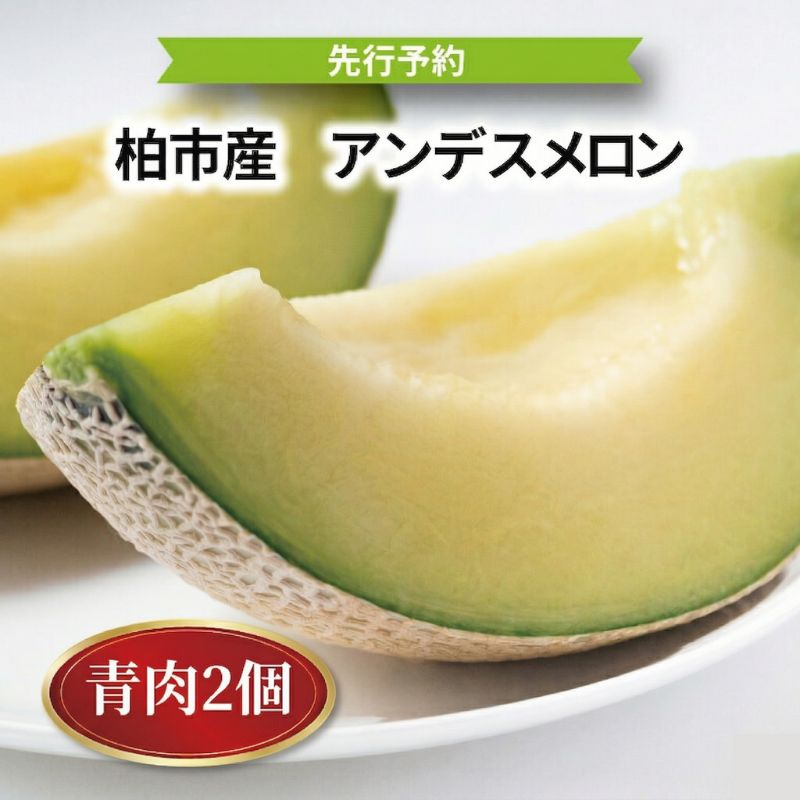 【ふるさと納税】【オンライン決済限定】柏市産 アンデスメロン 2個 〈先行予約 2026年6月順次発送〉 フルーツ 果物 セット 青肉 旬 国産 産地直送 千葉県産 甘い おすすめ デザート グルメ 予約　お届け：2026年6月1日～8月31日まで