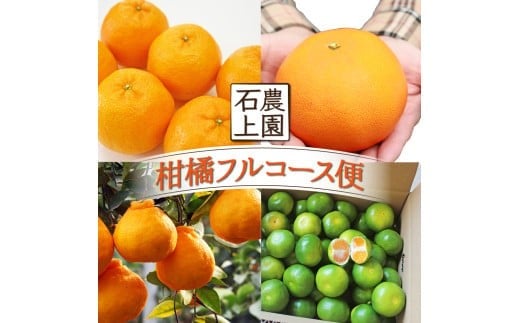 
            KU167 ＜先行予約＞【定期便・全4回】石上農園から自慢の柑橘フルコース便　【石上農園】
          