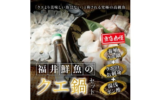
【先行予約】幻のクエ！国産 くえ刺身＆鍋 湯浅ゆずポン酢セット くえ 鍋 セット【fki103】
