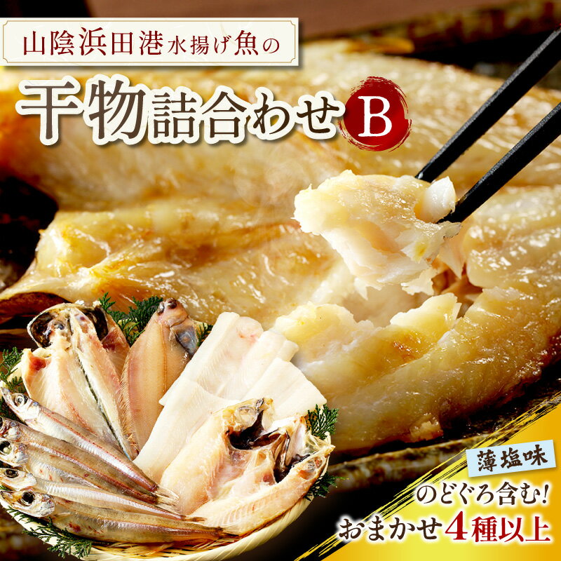 【ふるさと納税】浜田港水揚げ魚の薄塩味干物B（のどぐろを含む） 個包装 小分け 魚介類 魚貝類 薄塩味 干物 干もの 一夜干し セット 人気 お取り寄せ 【019_1946】