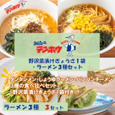 ふるさと納税 諏訪市 野沢菜漬けぎょうざ1袋・ラーメン3種×3袋セット[タンタンメン・しょうゆラーメン・バンバンチーメン]