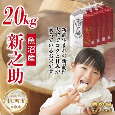 ふるさと納税 十日町市 【令和7年産 新米予約】 【新品種】 魚沼産 新之助 20kg  新潟県 十日町市 のうランド