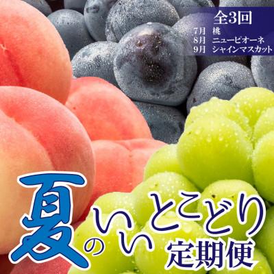 ふるさと納税 高松市 【発送月固定定期便】夏のいいとこどり定期便♪(7月・8月・9月)全3回