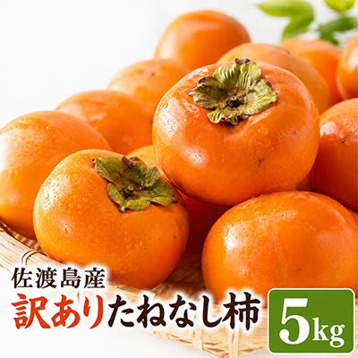 ふるさと納税 佐渡市 【2026年10月以降発送分】訳あり　佐渡島産たねなし柿　5kg(箱の重さ込み)