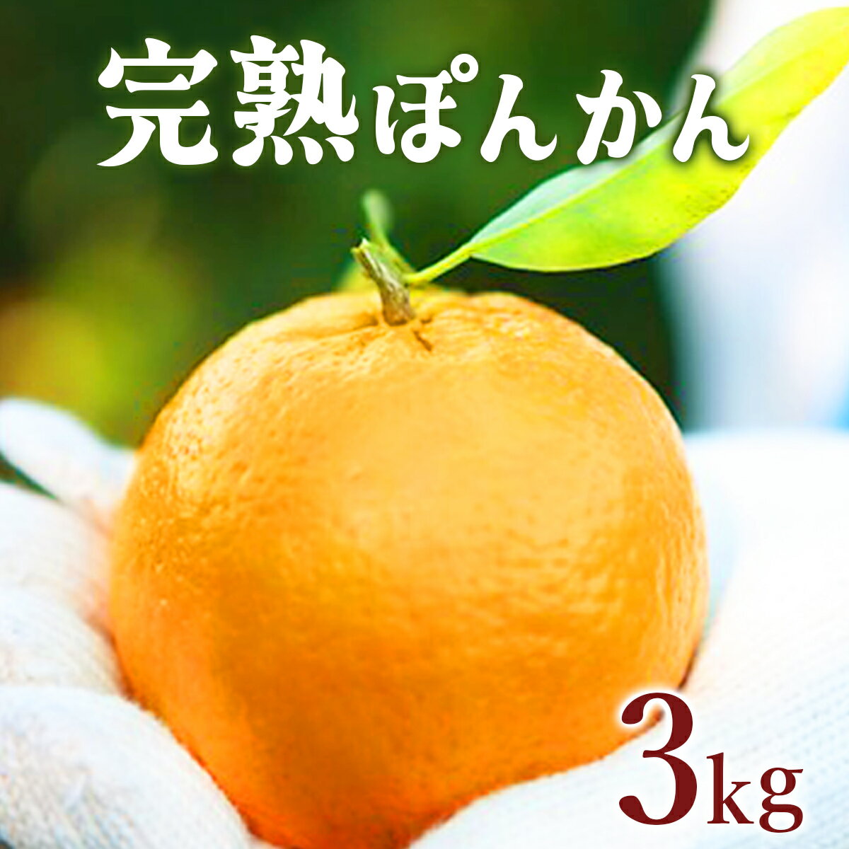 【ふるさと納税】＜先行予約＞完熟ぽんかん 3kg 国産 東洋町産 完熟 甘い 甘酸っぱい ジューシー 蜜柑 ミカン 高知県 東洋町 四国 お取り寄せ フルーツ 果物 デザート 送料無料 産地直送 F140