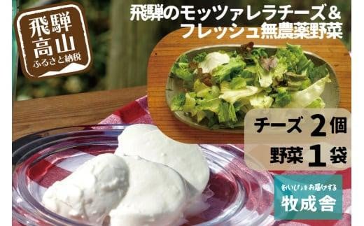 飛騨の新鮮モッツァレラ＆フレッシュ野菜 お届けセット モッツァレラチーズ チーズ ミックスリーフ 無農薬野菜 無農薬 飛騨高山 牧成舎 DF001