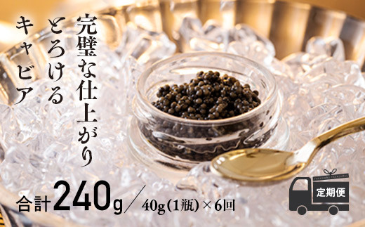 
【定期便 6ヶ月】THE・CAVIAR（ザ・キャビア）40g
