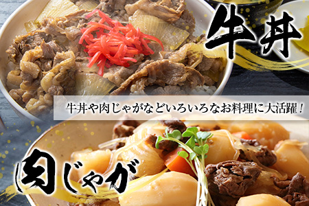 宮崎和牛『齋藤牛』切り落とし肉 計800g (400g×2パック) 【B548】