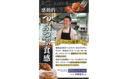 熟成 生マスタード　6個セット
