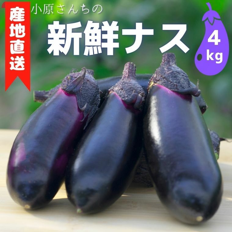 【ふるさと納税】 小原さんちの産地直送！新鮮ナス 4kg