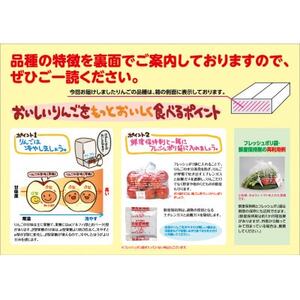 贈り物用【糖度13度選果 シナノスイート＆名月＆サンふじ りんご3種 約4.3kg】鮮度保持剤・袋付【配送不可地域：離島・沖縄県】【1507635】