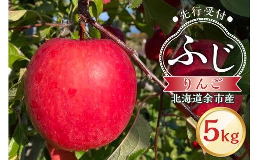 【先行予約：2025年11月上旬より発送】りんご（ふじ）5kg【北海道余市町産】