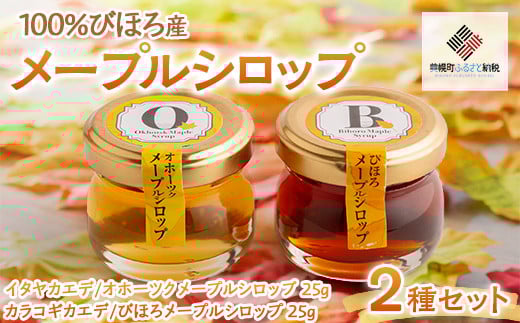 
            ミニサイズも新登場！100％びほろ「メープルシロップミニ」2種セット 【 ふるさと納税 人気 おすすめ ランキング メープルシロップ シロップ かえで びほろメープル メープル 甘い スイーツ ギフト 贈答 贈り物 プレゼント 自宅用 家庭用 北海道 美幌町 送料無料 】 BHRG146
          